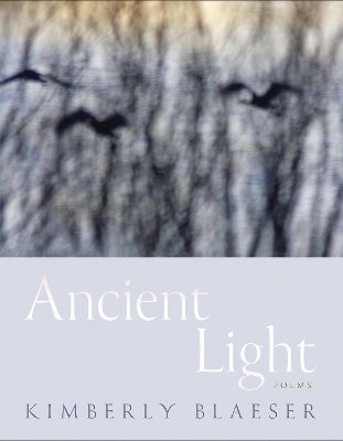 Ancient Light - Kimberly Blaeser