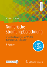 Numerische Strömungsberechnung - Lecheler, Stefan