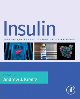 Insulin - 