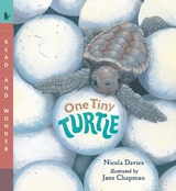 One Tiny Turtle - Davies, Nicola