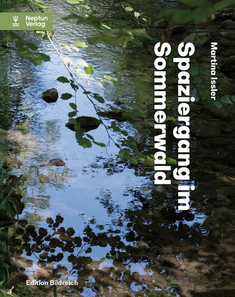 Spaziergang im Sommerwald - Martina Issler