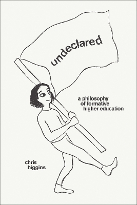 Undeclared - Chris Higgins