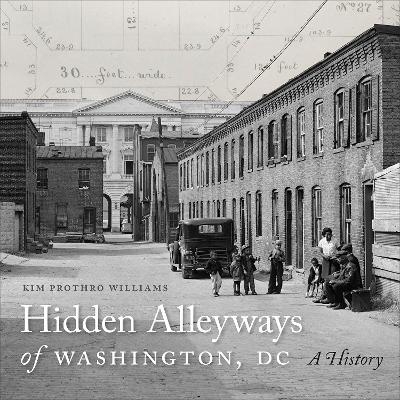 Hidden Alleyways of Washington, DC - Kim Prothro Williams