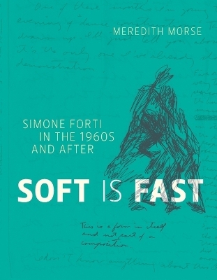 Soft Is Fast - Meredith Morse