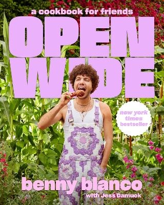 Open Wide - Benny Blanco, Jess Damuck