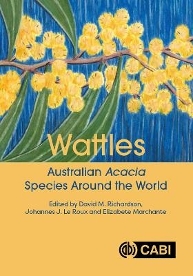 Wattles - 