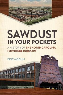 Sawdust in Your Pockets - Eric Medlin