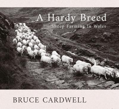 A Hardy Breed - Bruce Cardwell