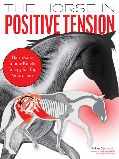 The Horse in Positive Tension - Stefan Stammer