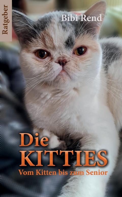 Die Kitties - Bibi Rend