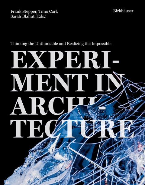 Experiment in Architecture - 