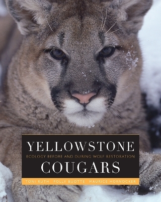 Yellowstone Cougars - Toni K. Ruth, Polly C. Buotte, Maurice G. Hornocker