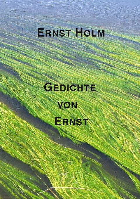 Gedichte von Ernst - Ernst Holm