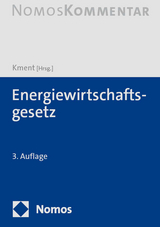 Energiewirtschaftsgesetz - 