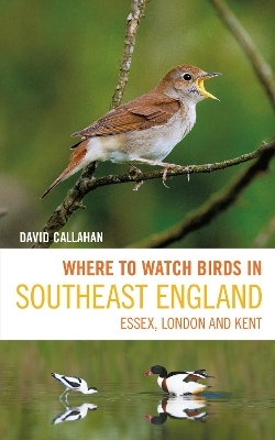 Where to Watch Birds in Southeast England - David Callahan