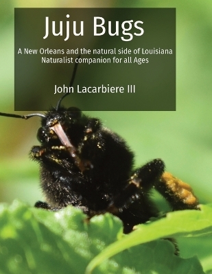 Juju Bugs - John Lacarbiere