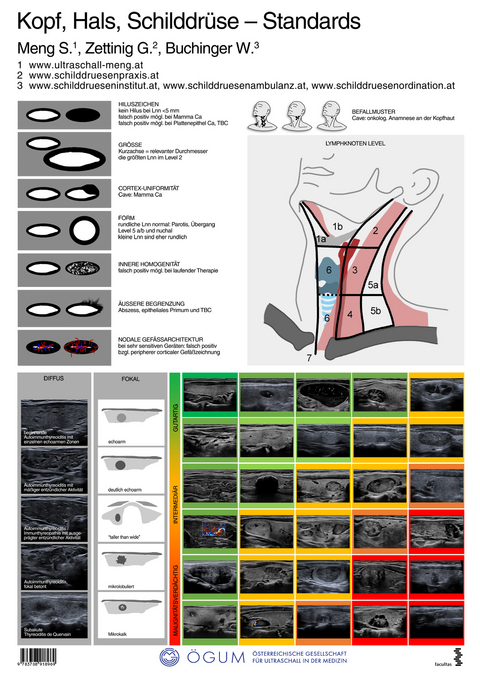 Kopf, Hals, Schilddrüse – Standards - 