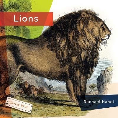 Lions - Rachael Hanel