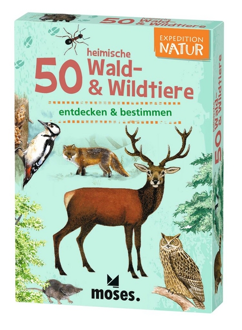 Expedition Natur 50 heimische Wald- &amp; Wildtiere - Carola von Kessel