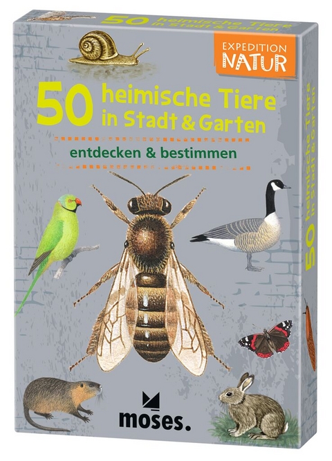 Expedition Natur 50 heim. Tiere in Stadt & Garten - Carola von Kessel