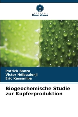 Biogeochemische Studie zur Kupferproduktion - Patrick Banza, Victor Ndibualonji, Eric Kassamba