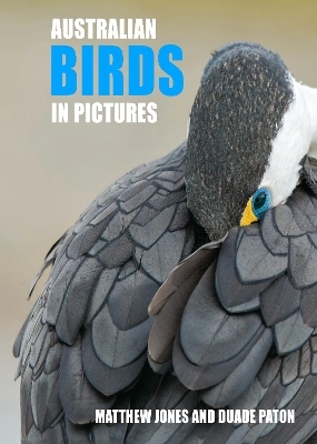 Australian Birds in Pictures - Mathew Jones, Duade Paton