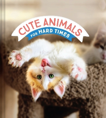 Cute Animals for Hard Times -  Chronicle Books