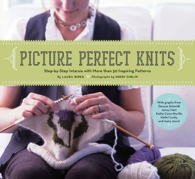 Picture Perfect Knits - Laura Birek