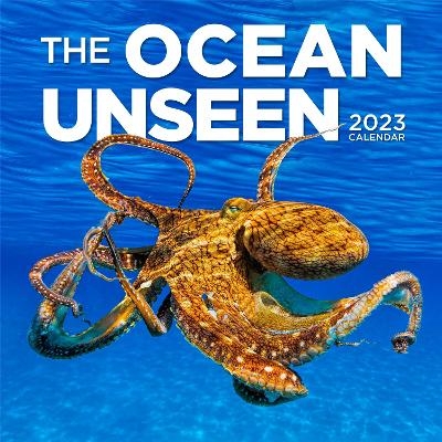 Ocean Unseen Wall Calendar 2023 -  Workman Calendars