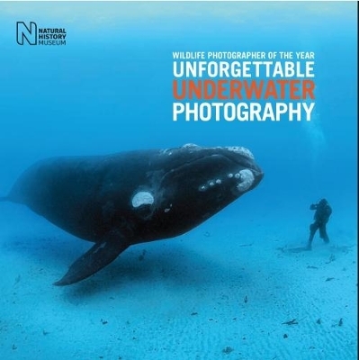 Wildlife Photographer of the Year: Unforgettable Underwater Photography - Rosamund Kidman Cox