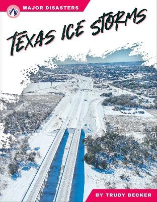 Texas Ice Storms - Trudy Becker