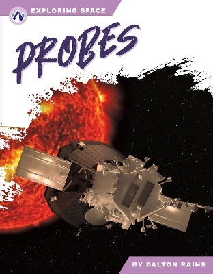 Probes - Dalton Rains