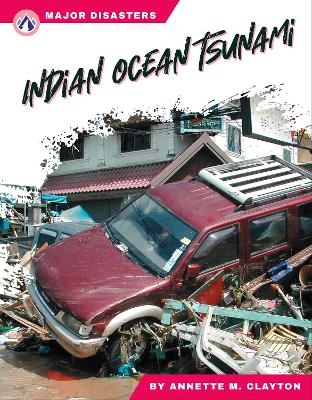 Indian Ocean Tsunami - Annette M. Clayton