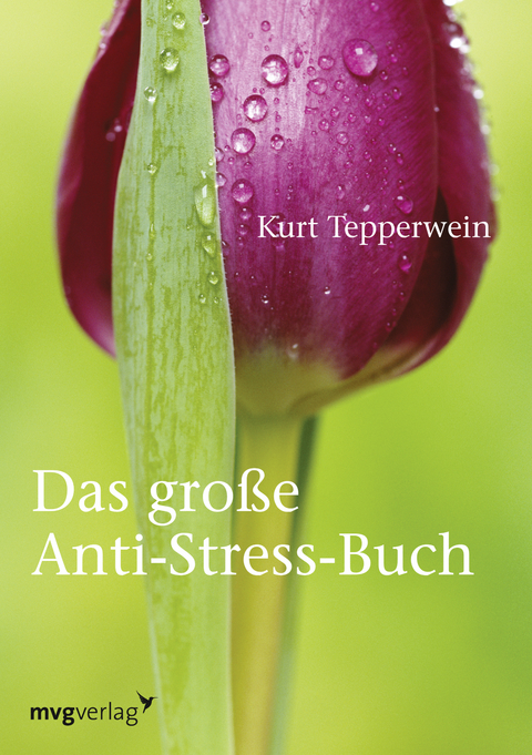 Das große Anti-Stress-Buch - Kurt Tepperwein