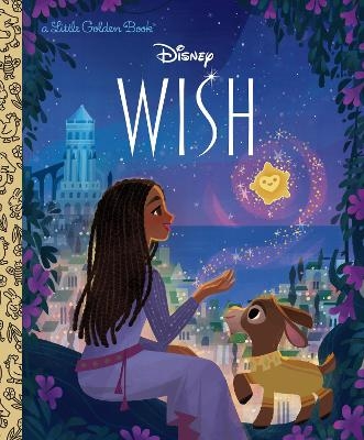 Disney Wish Little Golden Book -  Golden Books