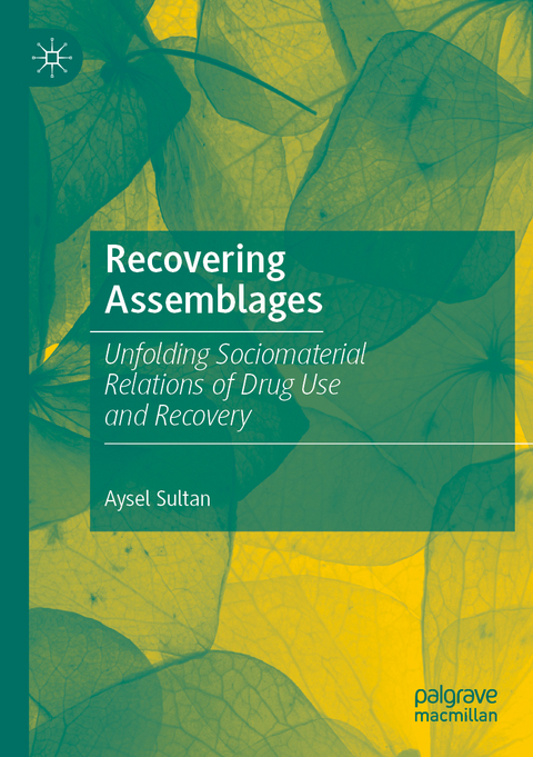 Recovering Assemblages - Aysel Sultan