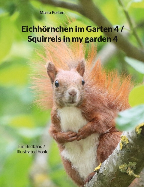 Eichhörnchen im Garten 4 / Squirrels in my garden 4 - Mario Porten