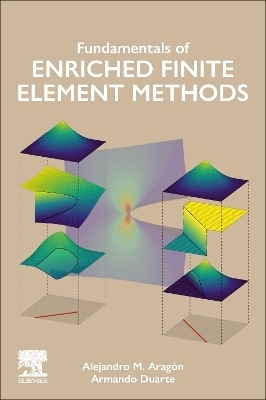 Fundamentals of Enriched Finite Element Methods - Alejandro M. Aragón, C. Armando Duarte