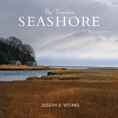 The Timeless Seashore - Joe Votano