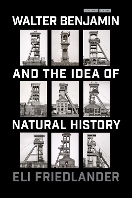 Walter Benjamin and the Idea of Natural History - Eli Friedlander