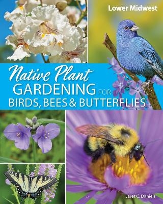 Native Plant Gardening for Birds, Bees & Butterflies: Lower Midwest - Jaret C. Daniels