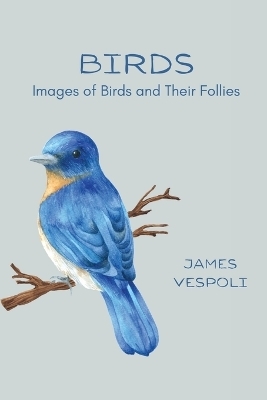 Birds - James D Vespoli