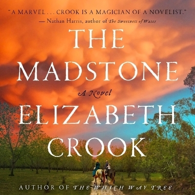 The Madstone - Elizabeth Crook