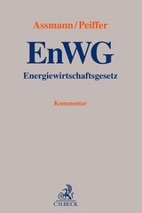 Energiewirtschaftsgesetz - 