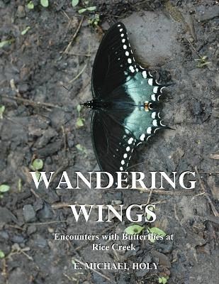 Wandering Wings - E Michael Holy