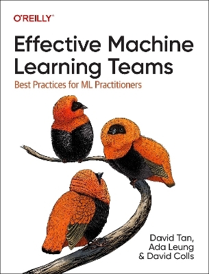 Effective machine learning teams - David Tan, Ada Leung, David Colls