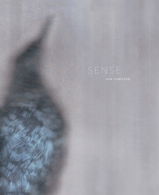 Ann Hamilton: Sense - 