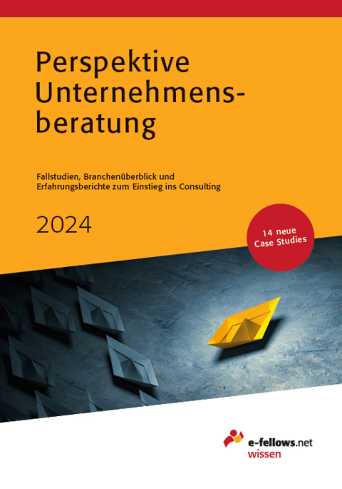 Perspektive Unternehmensberatung 2024 - 