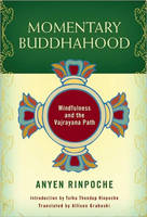 Momentary Buddhahood -  Anyen