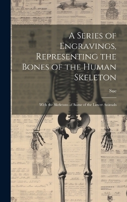 A Series of Engravings, Representing the Bones of the Human Skeleton -  Sue